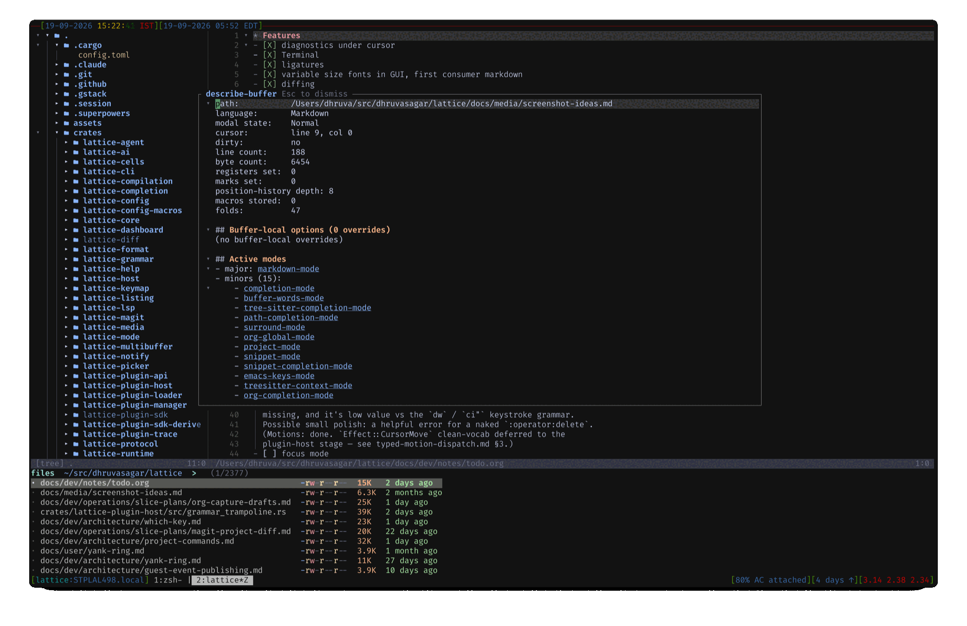Lattice editing a buffer, with the project file tree and a describe-buffer popup open